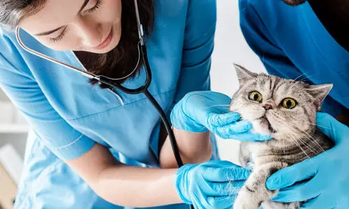 സ്വ​കാ​ര്യ വെ​റ്റ​റി​ന​റി കേ​ന്ദ്ര​ങ്ങ​ളെ പ്ര​തി​കൂ​ല​മാ​യി ബാ​ധി​ക്കും