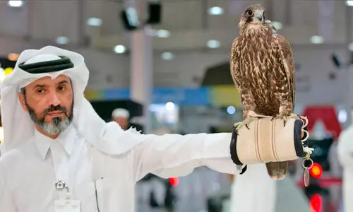 ഫാ​ൽ​ക്ക​ൺ പ്രേ​മി​ക​ളു​ടെ ഉ​ത്സ​വ​കാ​ലം