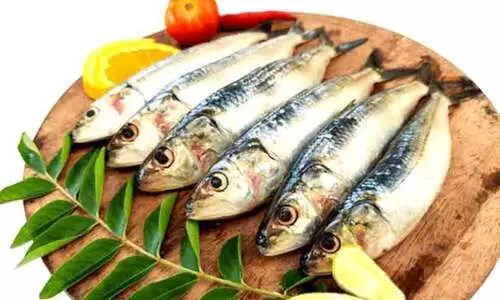 മത്തി കിട്ടാനില്ല...