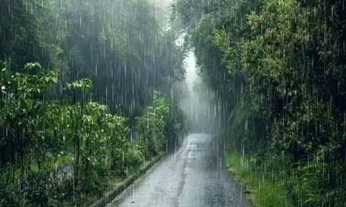 Fossil leaves from Nagaland reveal how Antarctica shaped Indian monsoons