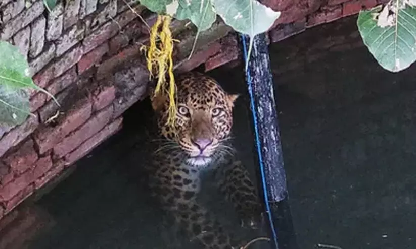 Representation image Representation image