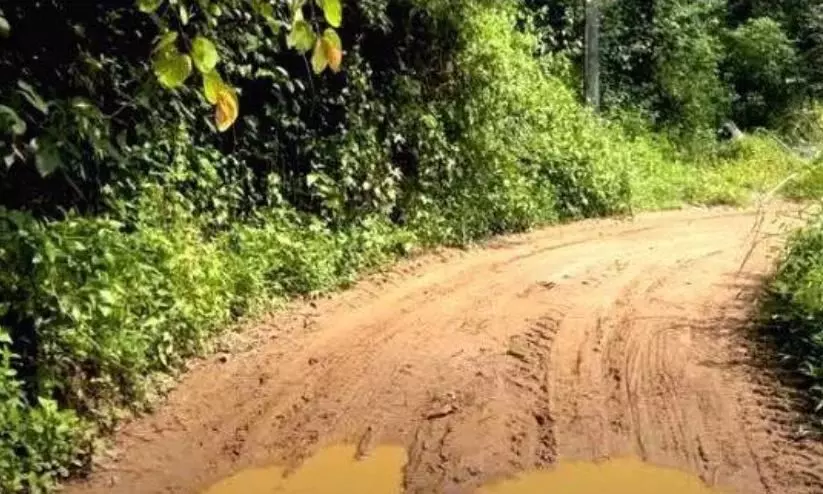 ചുരം ബദൽ പാത: പൂഴിത്തോട് - പടിഞ്ഞാറത്തറ പദ്ധതിക്കായി സർവേ നടപടികൾ പുനരാരംഭിക്കുന്നു