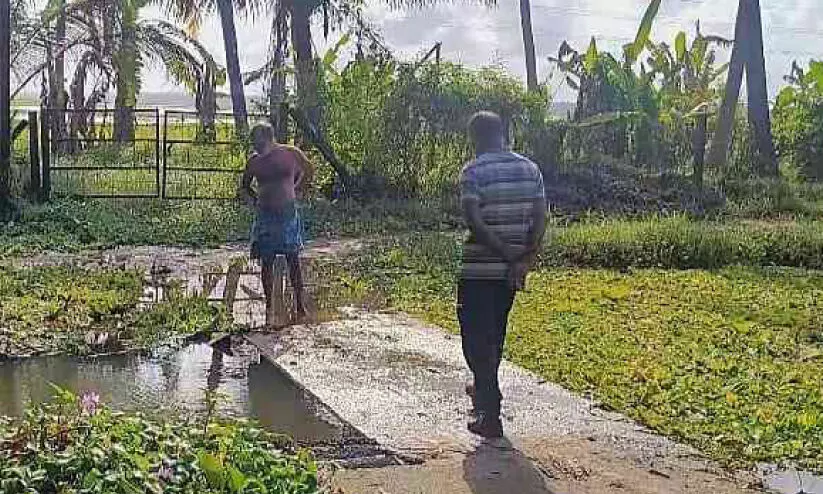 അ​ന്തി​ക്കാ​ട്-​ക​ട​വാ​രം പാ​ലം ത​ക​ർ​ന്നി​ട്ട് ഏ​ഴു​മാ​സം: പു​ന​ർ​നി​ർ​മി​ക്കാ​ത്ത​തി​ൽ ക​ർ​ഷ​ക​ർ ആ​ശ​ങ്ക​യി​ൽ