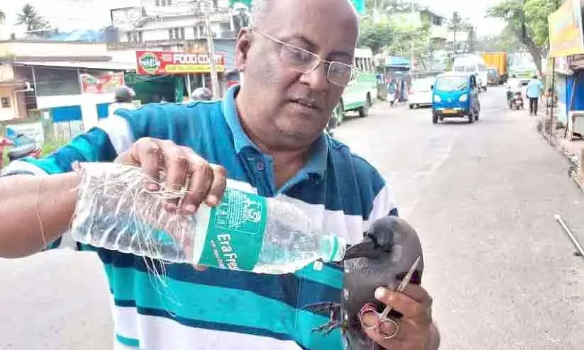 പറവയെ രക്ഷിക്കാൻ ബംഗളൂരുവിൽ നിന്ന് പറന്നെത്തി മുകേഷ് ജൈൻ പറവയെ രക്ഷിക്കാൻ ബംഗളൂരുവിൽ നിന്ന് പറന്നെത്തി മുകേഷ് ജൈൻ