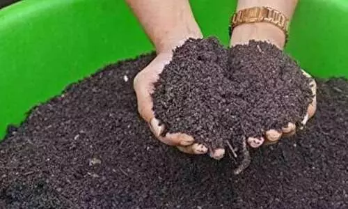 മണ്ണിര കമ്പോസ്റ്റ്; വീട്ടിൽ തന്നെയുണ്ടാക്കാം ഈ വളക്കൂട്ട്