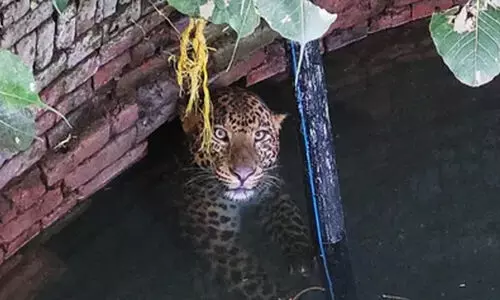 Representation image Representation image