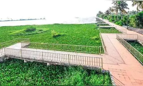 നാലുപങ്ക്​ ബോട്ട്​ ടെർമിനൽ വീണ്ടും ഒരുക്കത്തിൽ; ഉദ്ഘാടനം കഴിഞ്ഞിട്ടും പ്രവർത്തിക്കാതെ കിടന്നത് അഞ്ചുവർഷം