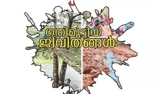 ഇടമലക്കുടിയിൽ പകർച്ചവ്യാധി വ്യാപനം; പ്രതിരോധം ഊർജിതമാക്കി