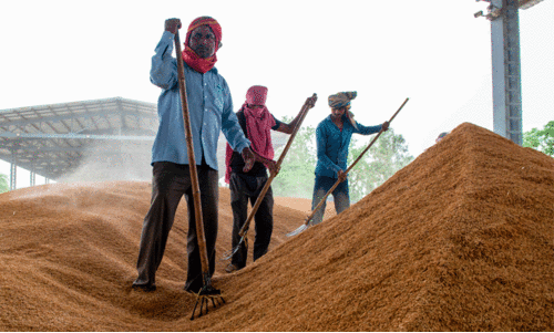 ഇന്ത്യ നെല്ലിന്റെ താങ്ങുവില ഉയർത്തിയതിനെ അമേരിക്കയും പരാഗ്വേയും ചോദ്യം ചെയ്തു; ലോകവ്യാപാര സംഘടനയിൽ സബ്മിഷൻ ഇന്ത്യ നെല്ലിന്റെ താങ്ങുവില ഉയർത്തിയതിനെ അമേരിക്കയും പരാഗ്വേയും ചോദ്യം ചെയ്തു; ലോകവ്യാപാര സംഘടനയിൽ സബ്മിഷൻ