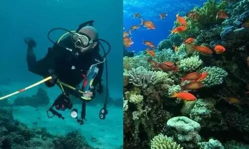 ചെ​ങ്ക​ട​ൽ ജൈ​വ വൈ​വി​ധ്യ നി​രീ​ക്ഷ​ണം; പ​ദ്ധ​തി​യു​ടെ ര​ണ്ടാം ഘ​ട്ട പ​രി​പാ​ടി​ക​ൾ​ക്ക് തു​ട​ക്കം കു​റി​ച്ചു