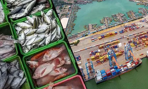 സമുദ്രോൽപന്ന കയറ്റുമതി;​ 102 ഫിഷറീസ് സ്ഥാപനങ്ങള്‍ക്ക് കൂടി ഇ.യു അംഗീകാരം