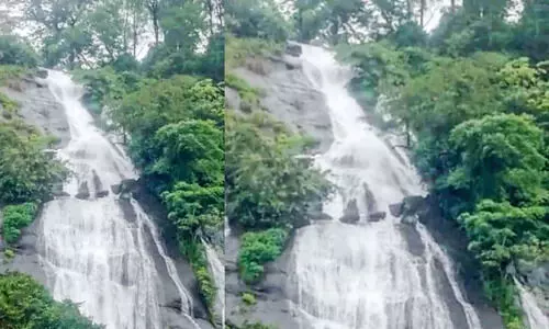 മനംകുളിർപ്പിച്ച്​ ചില്ലിത്തോട് വെള്ളച്ചാട്ടം