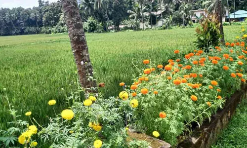 ചോക്കാട് വിത്തുൽപാദന കേന്ദ്രം ഉപയോഗപ്പെടുത്തി സായാഹ്ന ടൂറിസം സ്പോട്ട് വേണമെന്ന ആവശ്യം