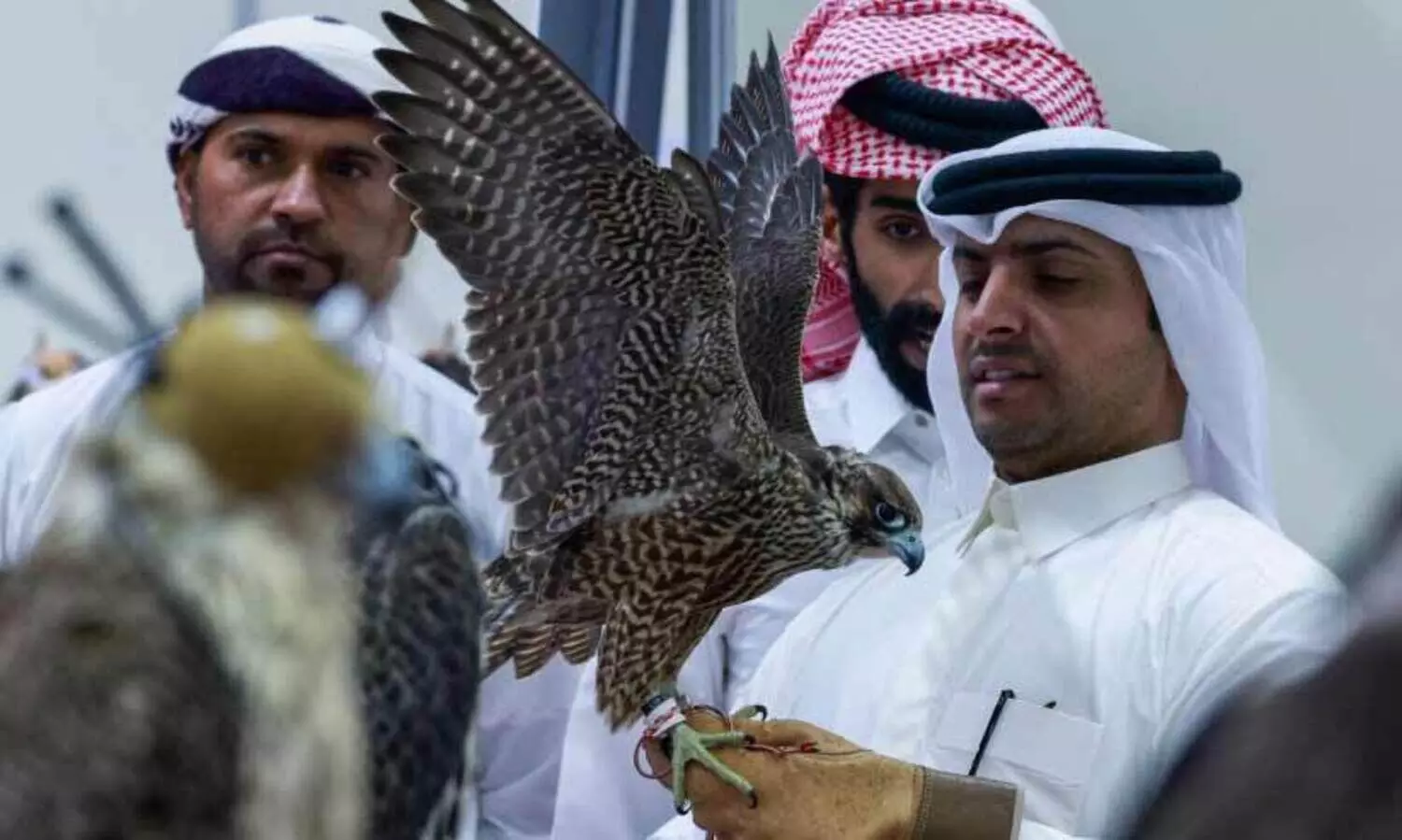 സു​ഹൈ​ൽ ഫാ​ൽ​ക്ക​ൺ മേ​ള​യി​ൽ സ​ന്ദ​ർ​ശ​ക​ത്തി​ര​ക്കേ​റു​ന്നു