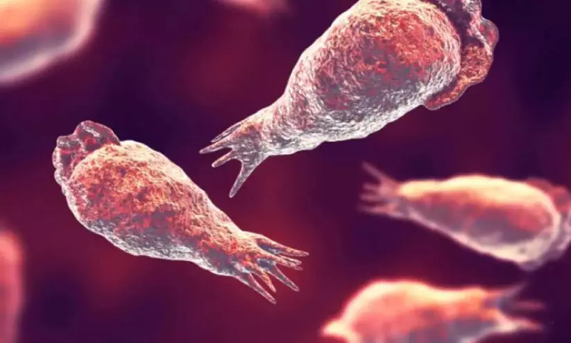 അമീബിക് മസ്തിഷ്കജ്വരം: വേണം, അതിജാഗ്രത അമീബിക് മസ്തിഷ്കജ്വരം: വേണം, അതിജാഗ്രത