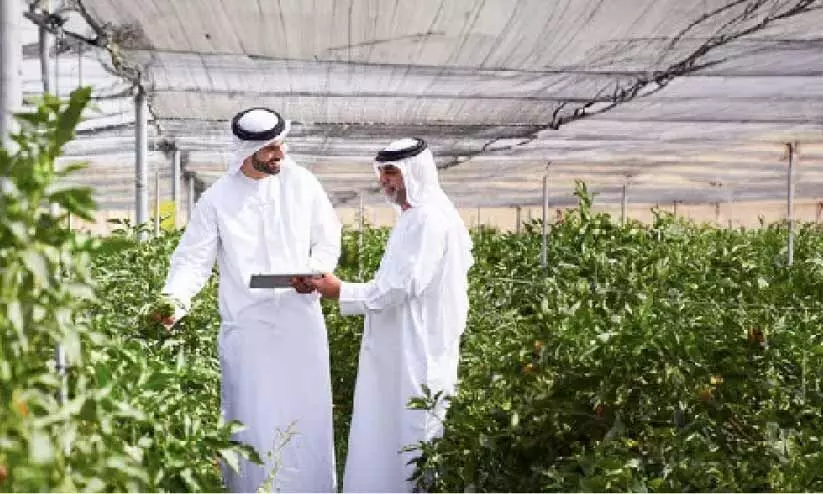 ഫാമുകളിൽ നിക്ഷേപ   സാധ്യതയേറുന്നു