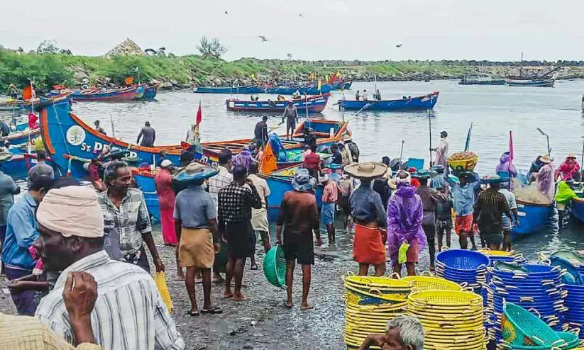 അനധികൃത മത്സ്യബന്ധനം തുടരുന്നു; പരമ്പരാഗത മത്സ്യബന്ധന വള്ളങ്ങൾക്ക് ഭീഷണി