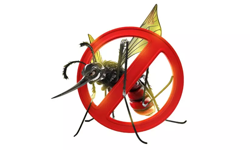 അനിവാര്യം, ഡെങ്കിപ്പനി പ്രതിരോധം