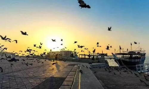 ഇ​ടി​മി​ന്ന​ലോ​ടു​ കൂ​ടി​യ മ​ഴ​ക്ക് സാ​ധ്യ​ത