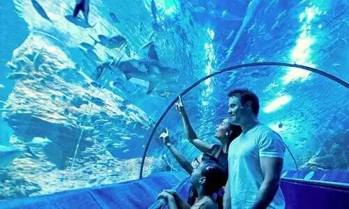 മു​ഹ​റ​ഖി​ൽ ലോ​കോ​ത്ത​ര വി​നോ​ദ​സ​ഞ്ചാ​ര കേ​ന്ദ്ര​ങ്ങ​ൾ സ്ഥാ​പി​ക്കാ​ൻ നി​ർ​ദേ​ശം