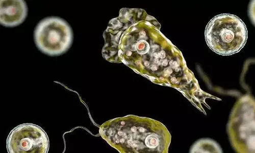 അമീബിക് മസ്തിഷ്കജ്വരം അമീബിക് മസ്തിഷ്കജ്വരം