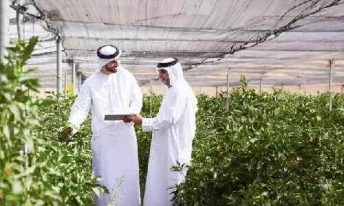 ഫാമുകളിൽ നിക്ഷേപ   സാധ്യതയേറുന്നു