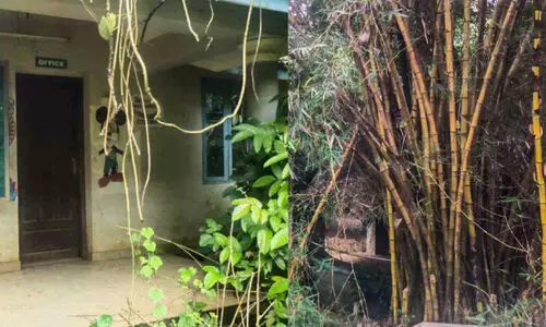 ഇടക്കടവ് ഇക്കോ ടൂറിസം പാർക്ക് ഇനിയും പ്രവർത്തനക്ഷമമായില്ല