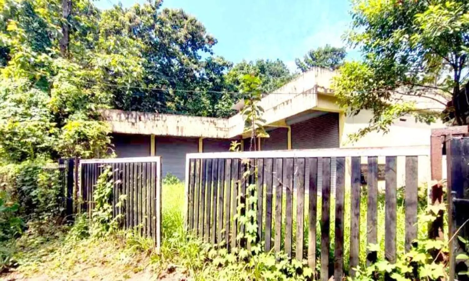 എ​ട​ത്ത​നാ​ട്ടു​ക​ര വ​നി​ത വ്യ​വ​സാ​യ കോം​പ്ല​ക്സ് കാ​ടു​ക​യ​റി ന​ശി​ക്കു​ന്നു