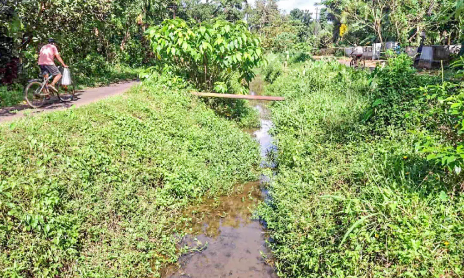 മറ്റത്തൂര്‍ ജലസേചന കനാല്‍ വീണ്ടും കാടുമൂടുന്നു