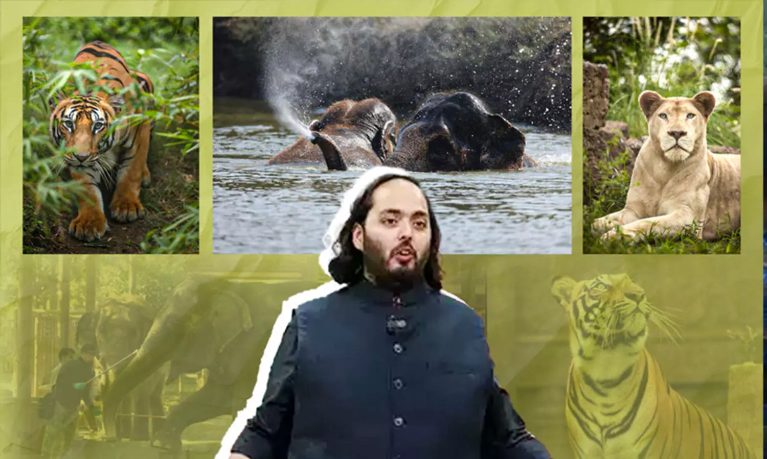 അനന്ത് അംബാനിയുടെ വൻതാര സുവോളജിക്കൽ സെന്ററിന് സുപ്രീംകോടതിയുടെ ക്ലീൻ ചിറ്റ്; നിയമങ്ങൾ പൂർണമായും പാലിക്കുന്നുണ്ടെന്ന് റിപ്പോർട്ട്