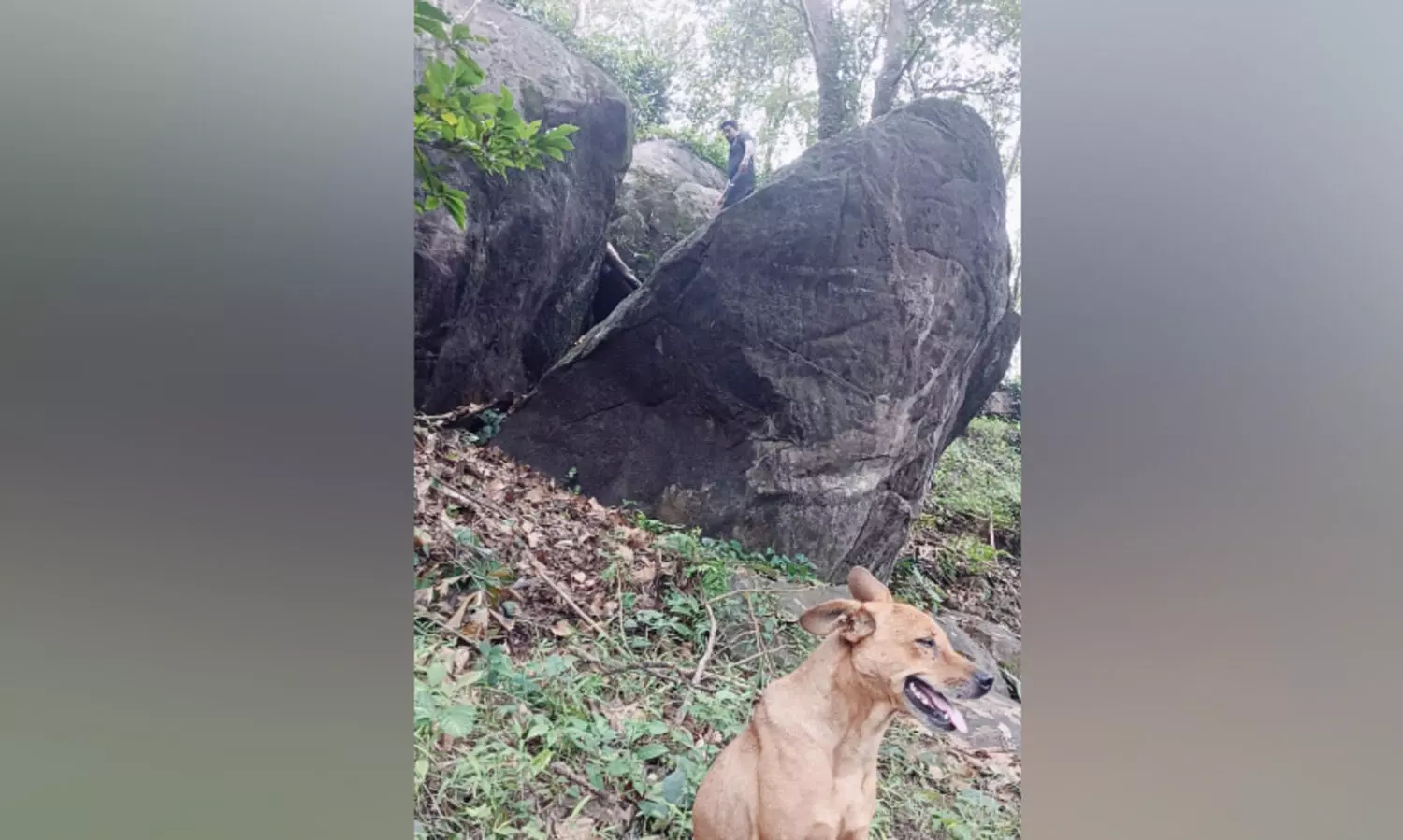 ത​ല​ക്കു മു​ക​ളി​ൽ ഭീ​മ​ൻ പാ​റ​ക​ൾ; ഒ​മ്പ​ത് കു​ടും​ബ​ങ്ങ​ൾ ഭീ​ഷ​ണി​യി​ൽ