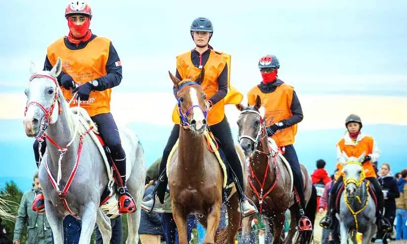 ഫ്ലോ​റാ​ക് റേ​സ്; മി​ക​ച്ച പ്ര​ക​ട​നം കാ​ഴ്ച​വെ​ച്ച് റോ​യ​ൽ എ​ൻ​ഡു​റ​ൻ​സ് ടീം