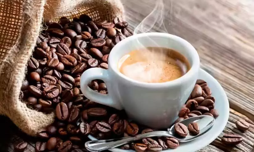 ട്രംപിന്റെ തീരുവക്കുരുക്കിന് പിന്നാലെ കാപ്പി കയറ്റുമതിക്ക് വൻ തിരിച്ചടിയായി യൂറോപ്യൻ യൂനിയന്റെ പരിസ്ഥിതി സർട്ടിഫിക്കറ്റ് ട്രംപിന്റെ തീരുവക്കുരുക്കിന് പിന്നാലെ കാപ്പി കയറ്റുമതിക്ക് വൻ തിരിച്ചടിയായി യൂറോപ്യൻ യൂനിയന്റെ പരിസ്ഥിതി സർട്ടിഫിക്കറ്റ്