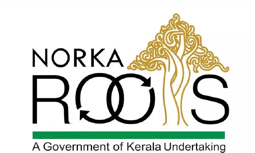 Norka roots Norka roots