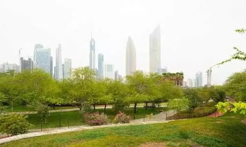 ക​ന​ത്ത ചൂ​ടി​ന് ആ​ശ്വാ​സ​മാ​കു​ന്നു; വേ​ന​ൽ ക​ട​ന്ന് ശ​ര​ത്കാ​ല​ത്തി​ലേ​ക്ക്...