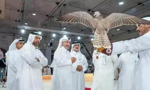 സുഹൈൽ ഫാൽക്കൺ മേള സമാപിച്ചു; സന്ദർശിച്ചത് ആയിരങ്ങൾ
