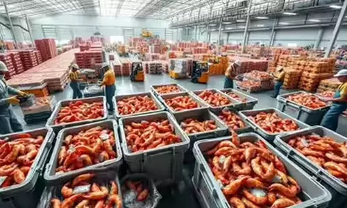 ‘യു.എസ് താരിഫിൽ 25,000 കോടി നഷ്ടം, ഓർഡറുകളിൽ പകുതിയും റദ്ദായി, പ്രതിസന്ധി രൂക്ഷം,’  കേന്ദ്ര ഇടപെടൽ തേടി ആന്ധ്രപ്രദേശ്