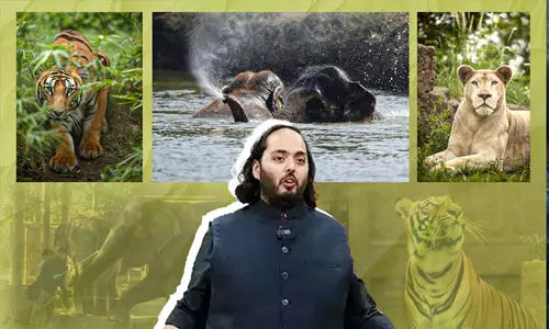 അനന്ത് അംബാനിയുടെ വൻതാര സുവോളജിക്കൽ സെന്ററിന് സുപ്രീംകോടതിയുടെ ക്ലീൻ ചിറ്റ്; നിയമങ്ങൾ പൂർണമായും പാലിക്കുന്നുണ്ടെന്ന് റിപ്പോർട്ട്