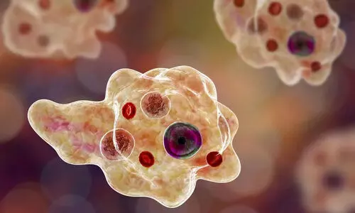 Amebic Meningoencephalitis