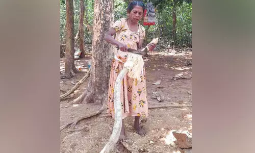 തണ്ണിത്തോട് റോഡിൽ ഇഞ്ചവെട്ട് സജീവം; സഞ്ചാരികൾക്ക്​ കൗതുകം