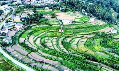 മായുന്നു, ഹൈറേഞ്ചിലെ കൃഷിക്കാലം