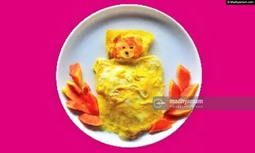Cheese Omelette