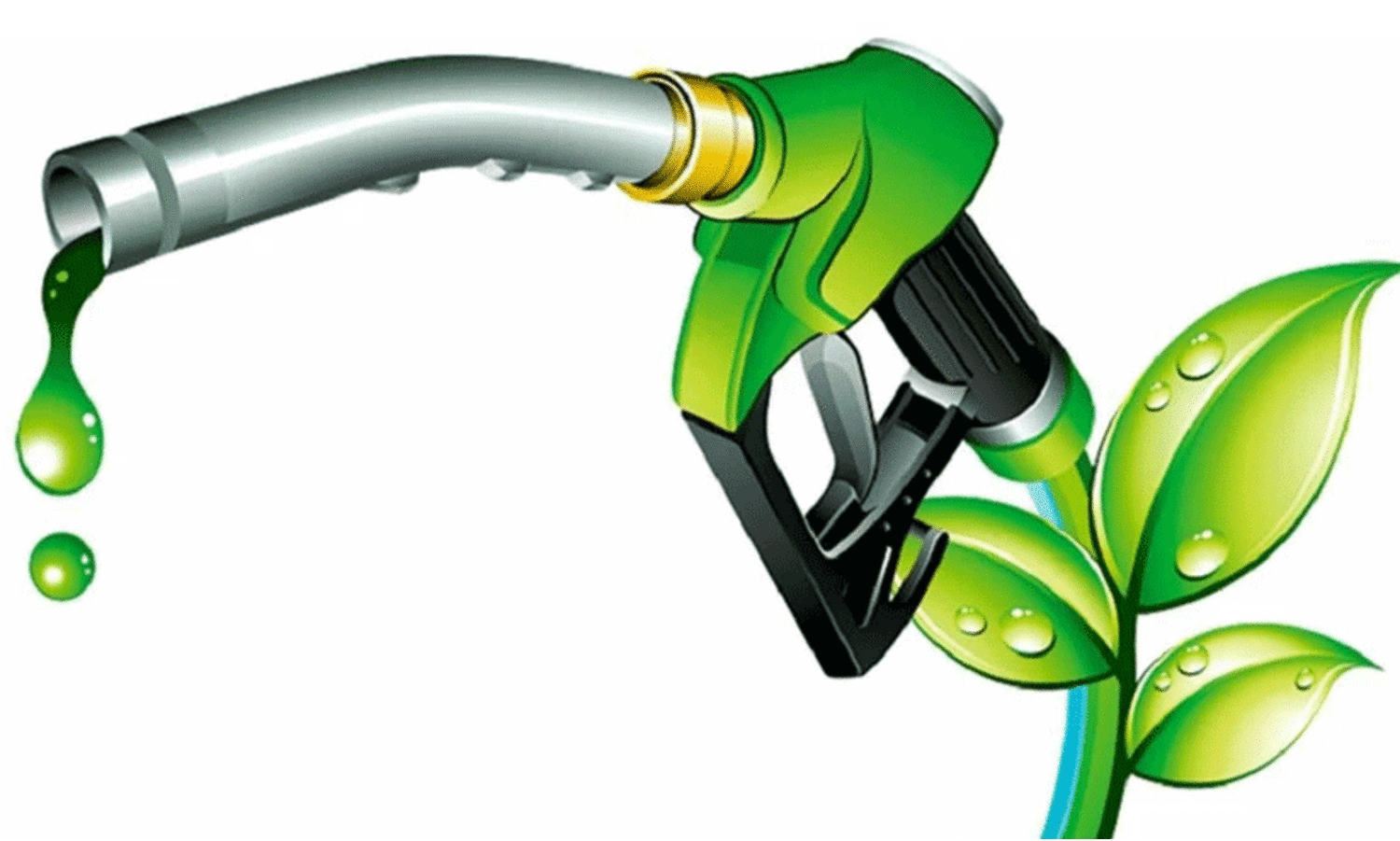 പെട്രോളിൽ എഥനോൾ ലയിപ്പിക്കുന്നത് എന്തിനാണ്? അതുകൊണ്ട് വല്ല നേട്ടവും രാജ്യത്ത് ഉണ്ടായോ!