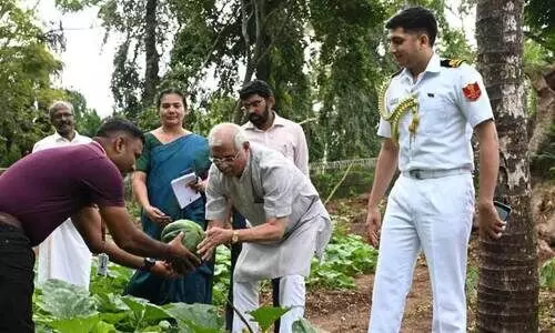 രാജ്ഭവൻ കൃഷിത്തോട്ടത്തിൽ വിളവെടുപ്പുത്സവം; നേതൃത്വം നല്‍കി ഗവര്‍ണര്‍
