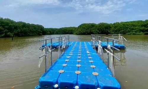 ഹ​രി​ത​കേ​ര​ള മി​ഷ​ന്‍ സം​സ്ഥാ​ന​ത​ല പു​ര​സ്‌​കാ​ര​ത്തി​ന​ർ​ഹ​മാ​യി ക​ണ്ട​ല്‍തു​രു​ത്തു​ക​ളും കാ​വു​ക​ളും