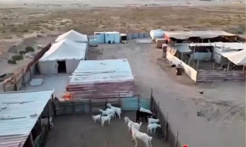 അധനികൃത ക്യാമ്പിൽ ജോലി; 12 പ്രവാസികൾ പിടിയിൽ