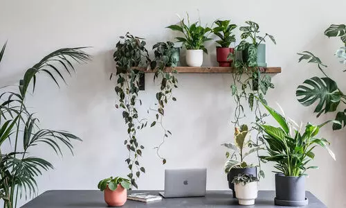 Representation Image