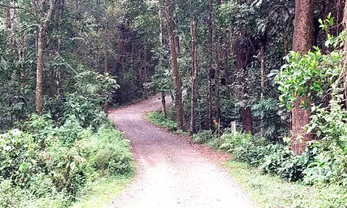 പ​ടി​ഞ്ഞാ​റ​ത്ത​റ-​പൂ​ഴി​ത്തോ​ട് റോ​ഡ്; വെറുമൊരു ബദൽപാതയല്ല, നാടിന്റെ നിലനിൽപാണ്