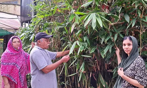 Abdul Razak Mullepattu and World Bamboo Day