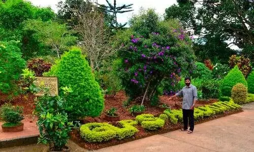 വേനലവധിക്കുൾപ്പെടെ ഒരിക്കലും മുടങ്ങാതെ പീറ്റർ സ്കൂളിലെത്തുന്നു; ഇവിടത്തെ മരങ്ങളും ചെടികളും പരിപാലിക്കാൻ